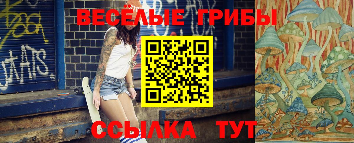 Галлюциногенные грибы Psilocybe  Вход с VPN  Галлюциногенные грибы прущие грибы  продажа наркотиков  Шатура 