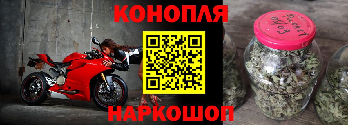 Канабис планчик Шатура